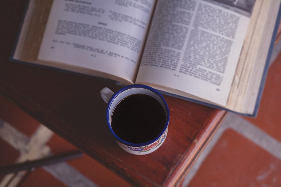 Deed of appointment of directors certified translation