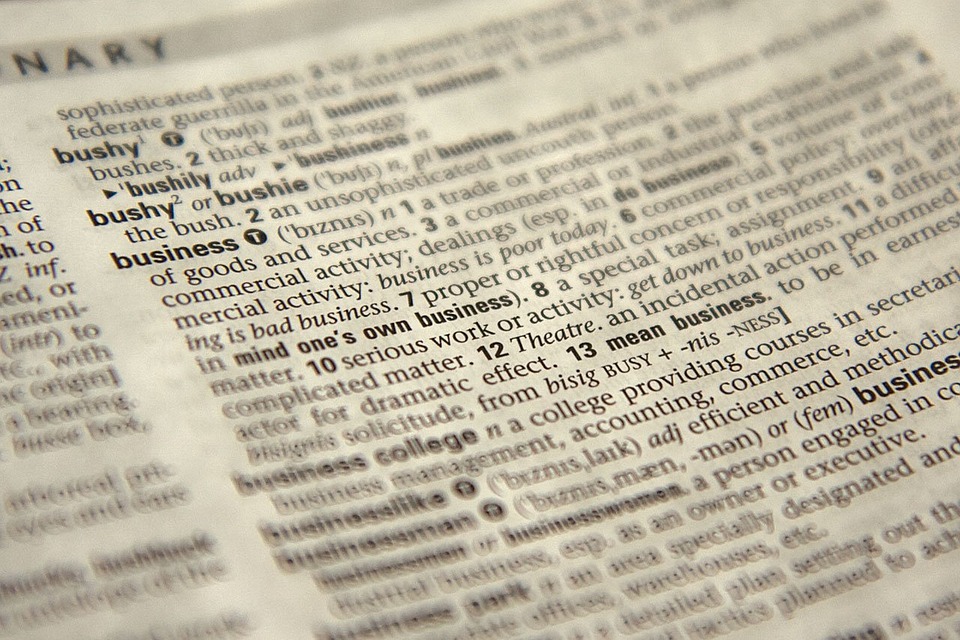 Auditor's statement certified translation